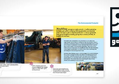 Goodwill Annual Reports